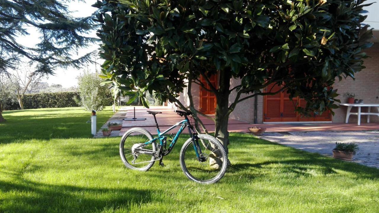 Country House Bike Friendly Famiglia Belleggia Daire Porto SantʼElpidio Dış mekan fotoğraf