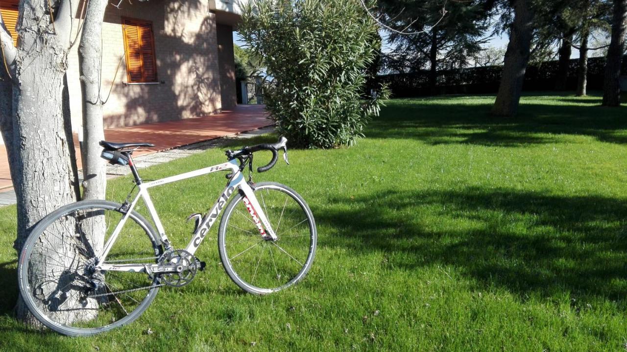 Country House Bike Friendly Famiglia Belleggia Daire Porto SantʼElpidio Dış mekan fotoğraf